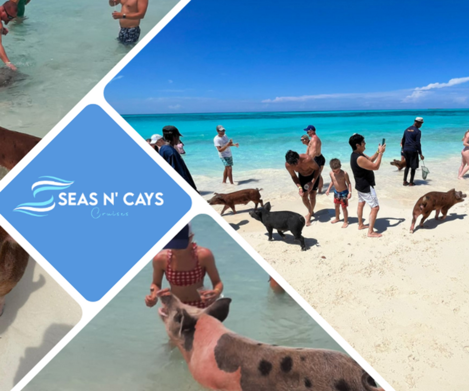 Swimming with Pigs Tour Seas N Cays